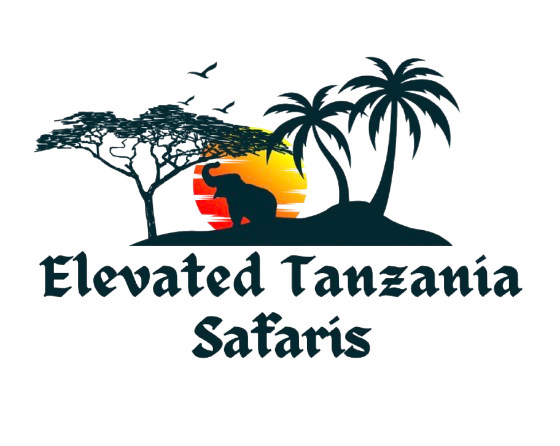 Elevated Tanzania Safaris
